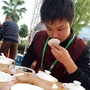 福建省武夷山茶博会（武夷山茶博会2020年时间表）