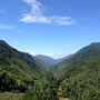 福建省武夷山桐木村-武夷山桐木村猴子