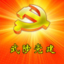 河南省武陟党建