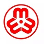 山东省夏津女性