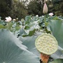 山东省夏津县初中语文教研中心