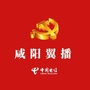 咸阳翼播