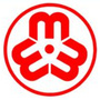 孝感女性-三名女性爬山遭雷击