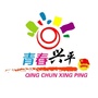 陕西省兴平共青团