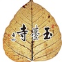 广东省新会玉台禅寺微信公众号