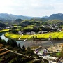 新建