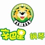 陕西省西乡县辛巴星钢琴