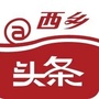 陕西省西乡头条