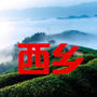 西乡吧