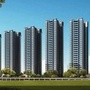 广东省徐闻房地产网_合肥房地产网