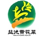 宁夏省盐池县融盐农产品开发有限公司