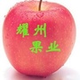 耀州果业