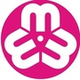 黑龙江伊美区巾帼之声微信公众号