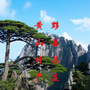安徽省黟县茶庄:太原乾和祥茶庄