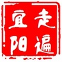 宜阳