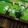 山东省沂源县约读书房