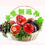 甘肃省永登县恒远田园综合体