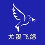 福建省尤溪飞鸽微信公众号