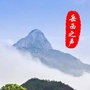 安徽省岳西之声微信公众号