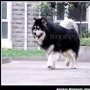 云和一家人