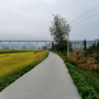 湖南省云溪德育_云溪区人民政府官网