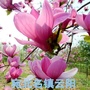 重庆市云阳