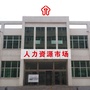 河北省玉田人才市场（玉田人才市场电话号码）