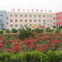 河南省禹州市夏都东方艺术幼儿园：禹州市夏都学校官网