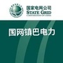 镇巴电力