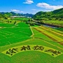 振兴