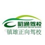 镇雄正向驾校