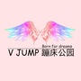 山东省周村区VJUMP蹦床公园