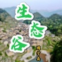 福建省周宁县生态谷农业发展有限公司微信公众号