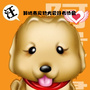 邹城市宠物犬爱好者协会